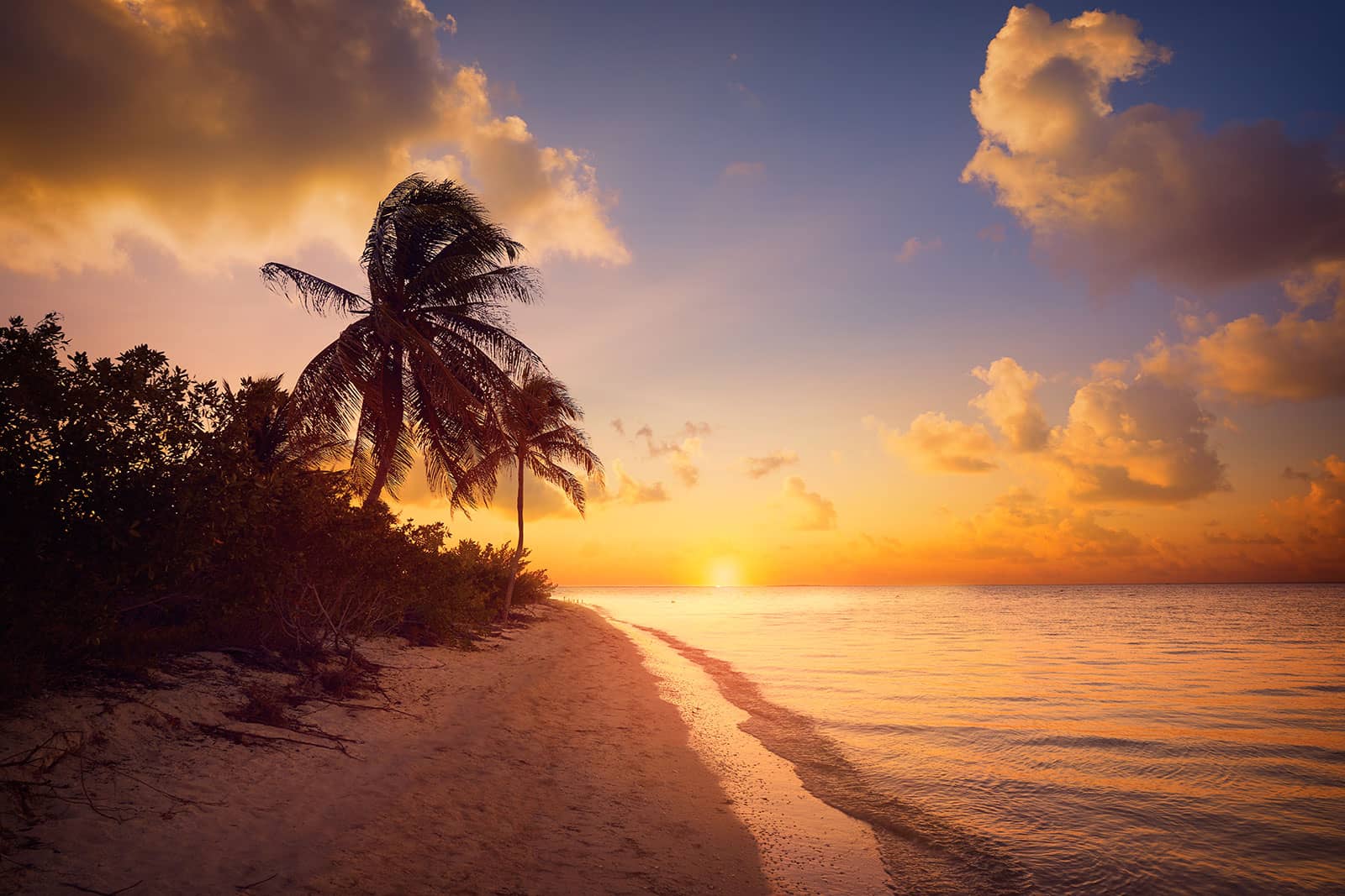 The 10 Best Tropical Beach Destinations
