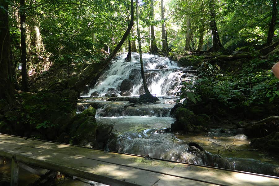 Sa Nang Manora Forest Park